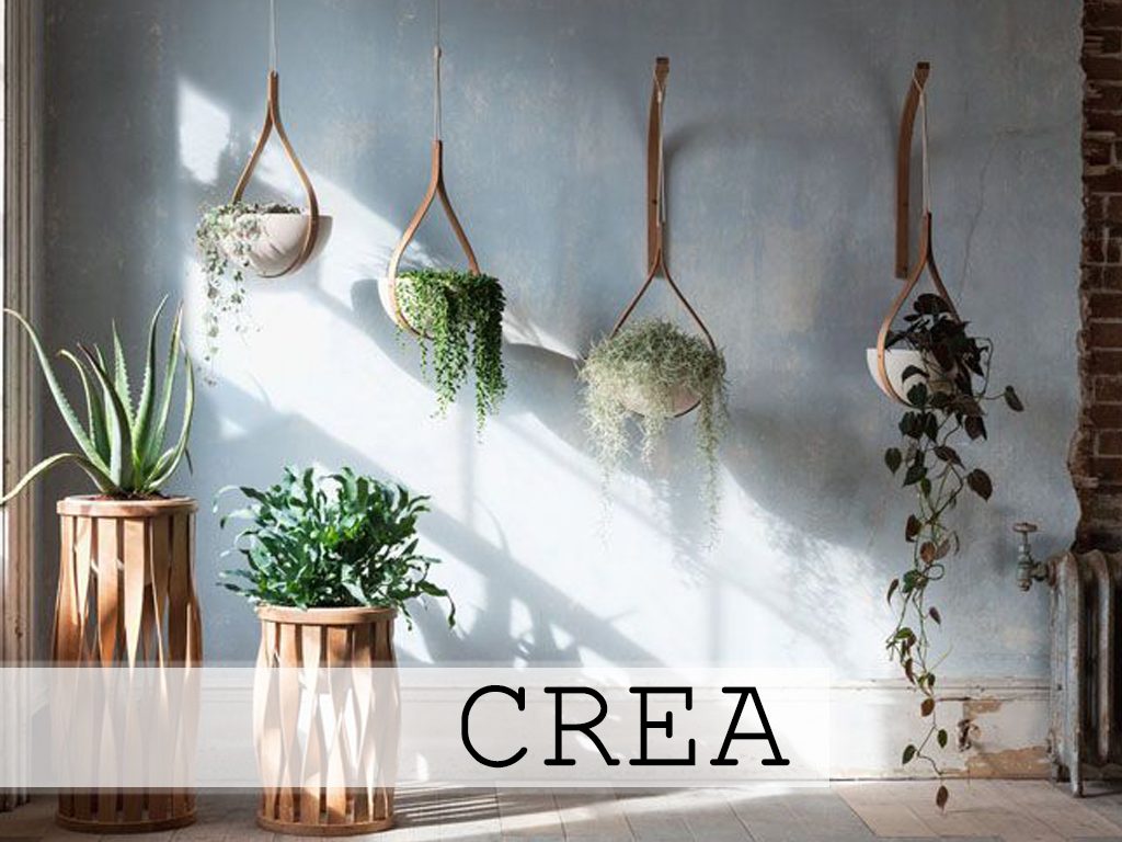 CREA